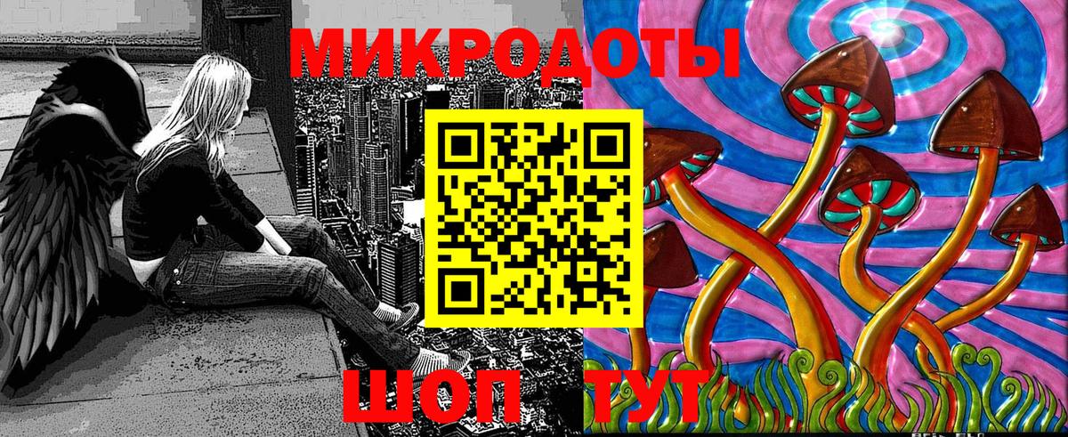 Псилоцибиновые грибы прущие грибы Кольчугино