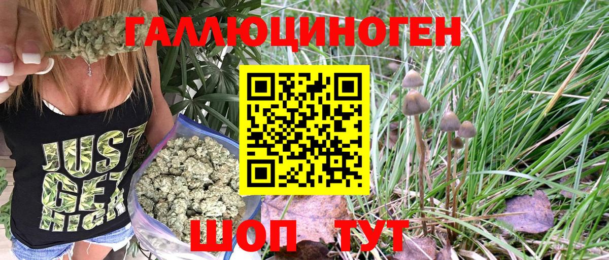 Галлюциногенные грибы Psilocybe  Галлюциногенные грибы Magic Shrooms  Вход с VPN  Кольчугино 